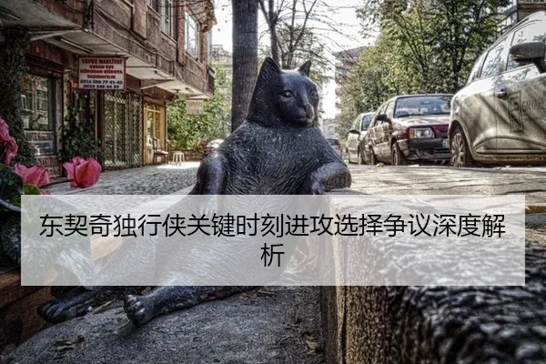 东契奇独行侠关键时刻进攻选择争议深度解析